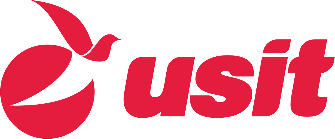 Pay USIT logo